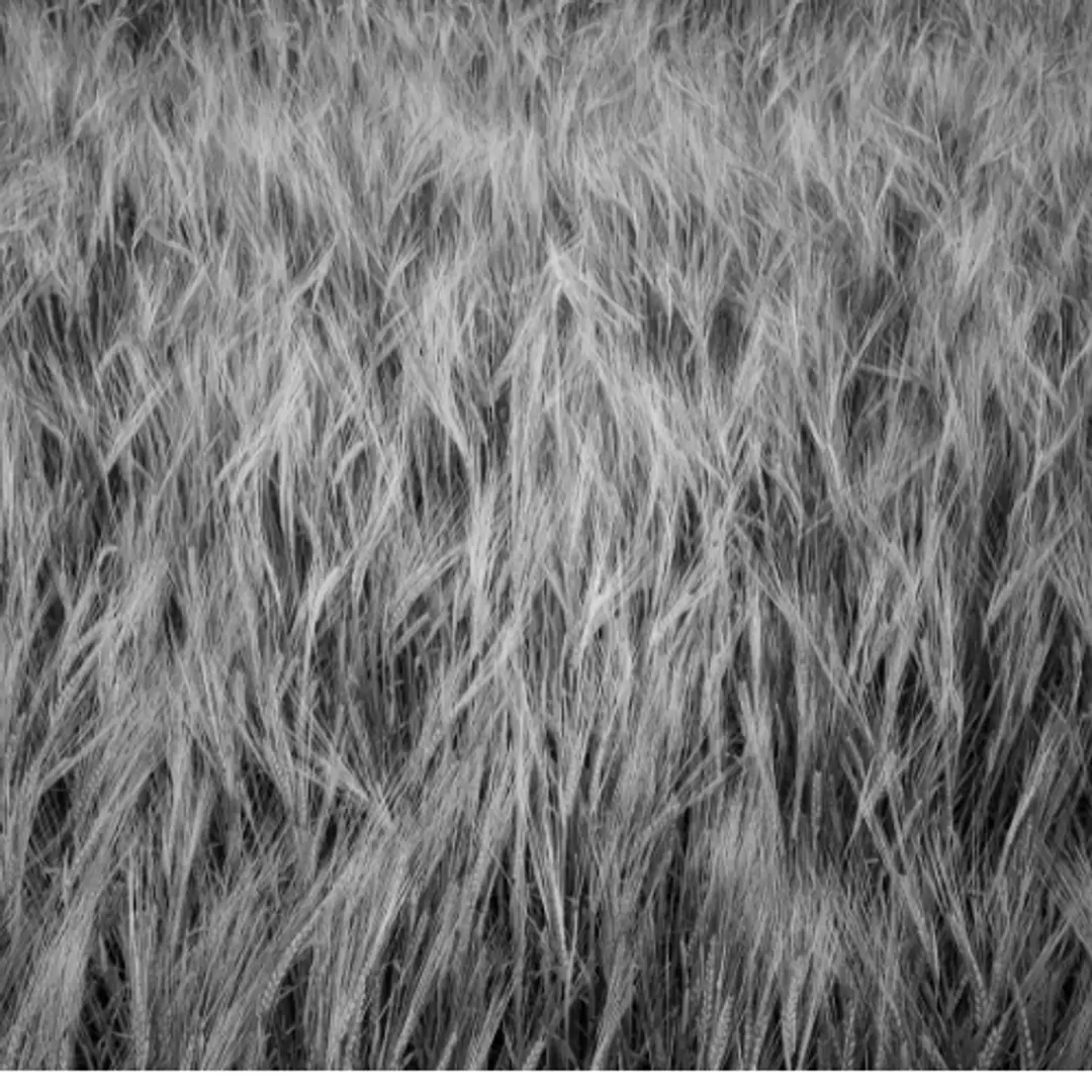 68eab3bfe32061c21ffeea71